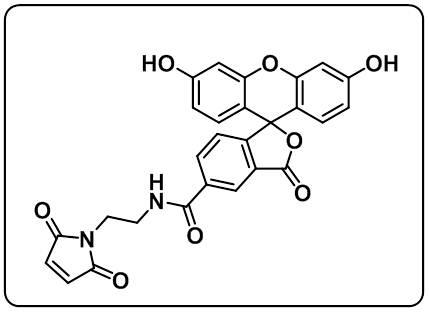 5-FAM Maleimide