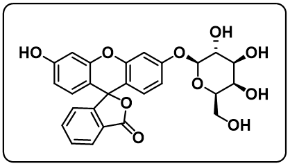 Fluorescein β-D-galactopyranoside