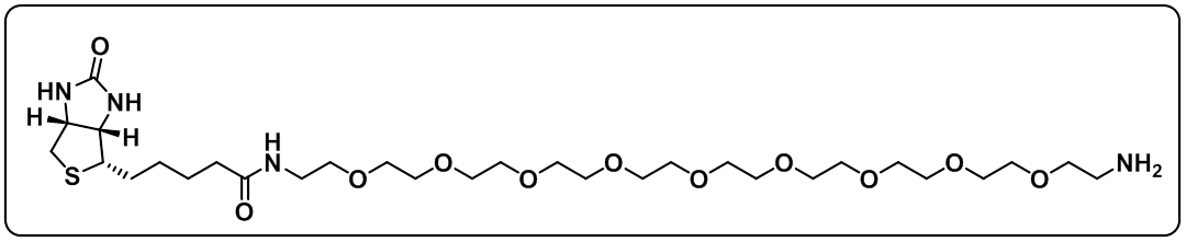 Biotin-PEG9-amine