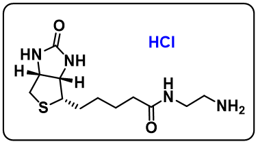 Biotin-EA (HCl)