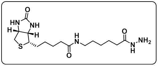 Biotin-LC-Hydrazide