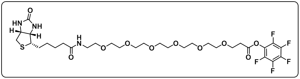 Biotin-PEG6-PFP