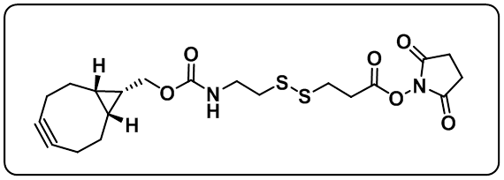 endo-BCN-SS-NHS ester