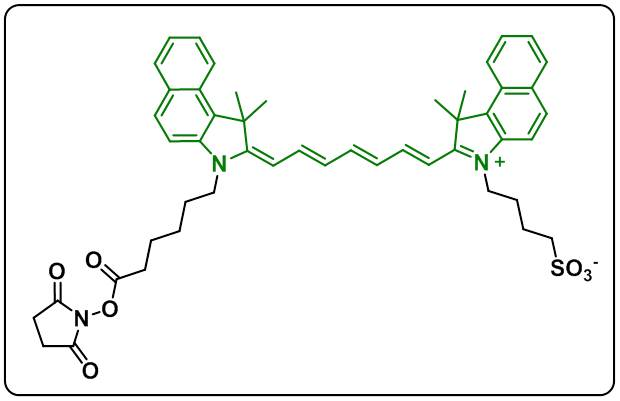 ICG-NHS(mono-sulfo-cy7.5 NHS)