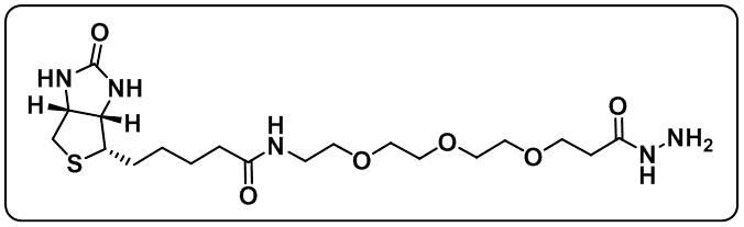 Biotin-PEG3-hydrazide