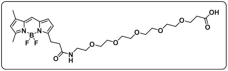 BODIPY FL-PEG5-COOH