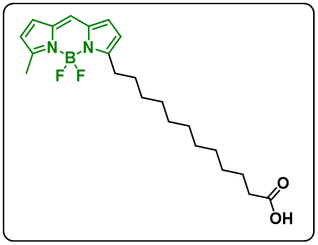 BODIPY 500/510 C1, C12