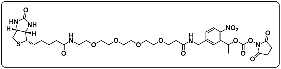 PC-Biotin-PEG4-NHS carbonate