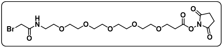 BrCH2CONH-PEG5-NHS ester