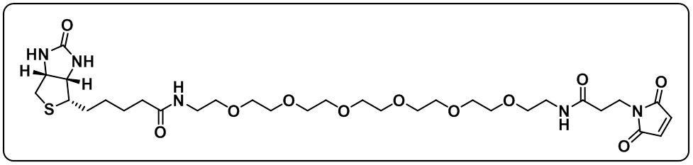 Biotin-PEG6-amido-Mal