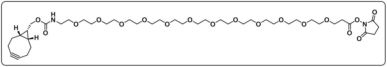 endo-BCN-PEG12-NHS ester