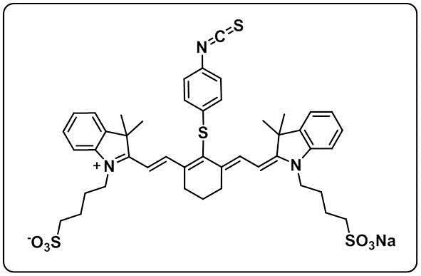 NIR-797-isothiocyanat