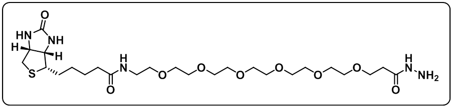 Biotin-PEG6-hydrazide