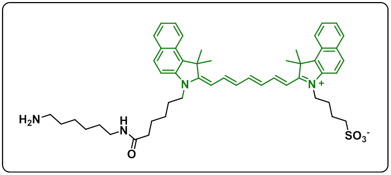 ICG-amine