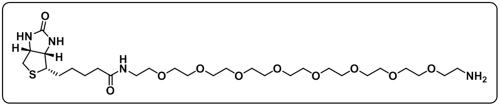 Biotin-PEG8-amine