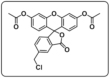 Cellhunt Green CMFDA [5-Chloromethylfluorescein Diacetate]