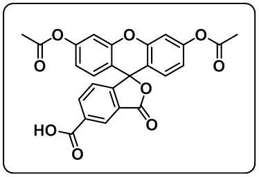 5-diacetate FAM