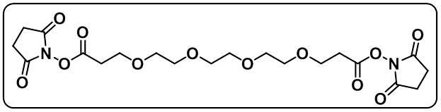 Bis-PEG4-NHS ester