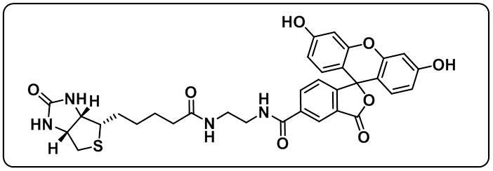 Biotin-4-Fluorescein