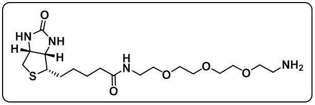 Biotin-PEG3-amine