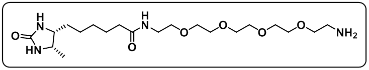 Desthiobiotin-PEG4-Amine