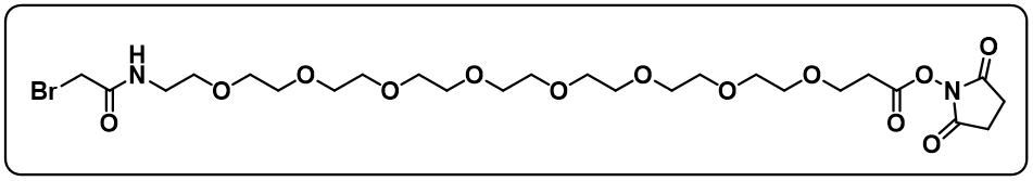 BrCH2CONH-PEG8-NHS ester