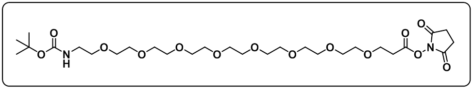 t-Boc-N-amido-PEG8-NHS ester