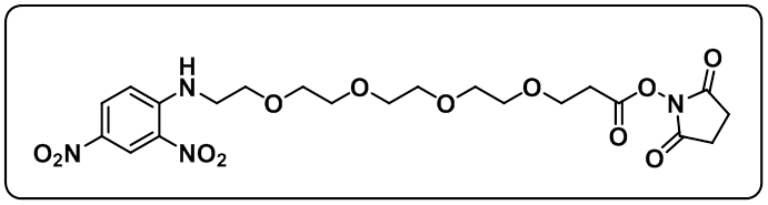 DNP-PEG4-NHS ester