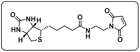 Biotin-Mal