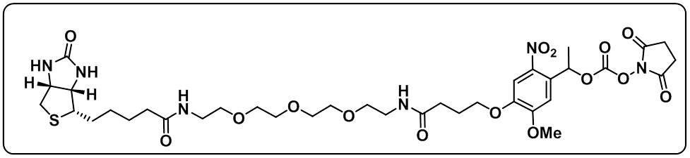 PC Biotin-PEG3-NHS carbonate ester