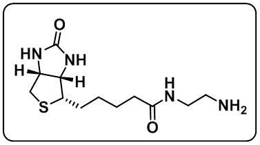 Biotin-EA