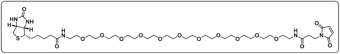 Biotin-PEG11-amido-Mal