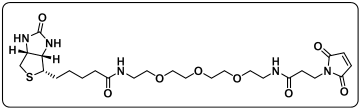 Biotin-PEG3-amido-Mal