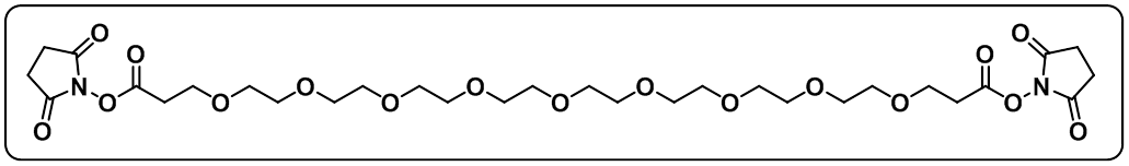 Bis-PEG9-NHS ester