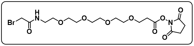 BrCH2CONH-PEG4-NHS ester