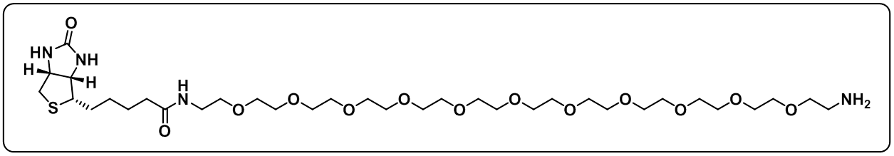 Biotin-PEG11-amine