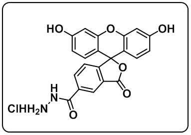 5-FAM hydrazide HCl