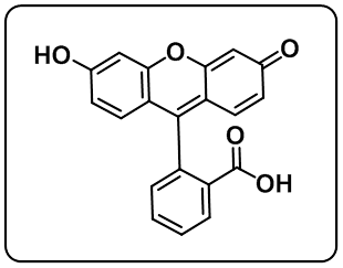 Fluorescin