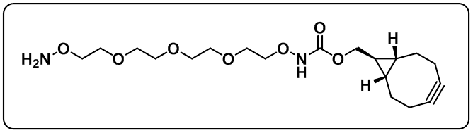 exo BCN-PEG4-O-amine