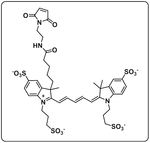 AF 647 Maleimide