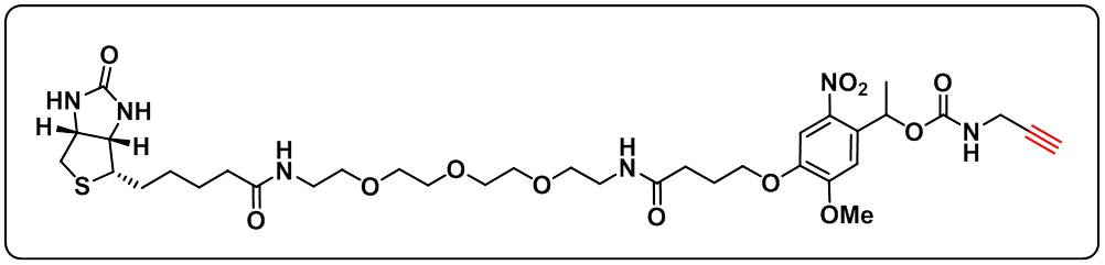 PC Biotin-PEG3-alkyne