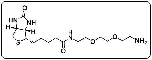 Biotin-PEG2-amine