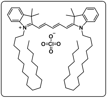 1,1'-DIOCTADECYL-3,3,3',3'-TETRAMETHYLINDODICARBOCYANINE PERCHLORATE