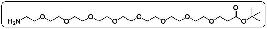 Amino-PEG8-COOtBu