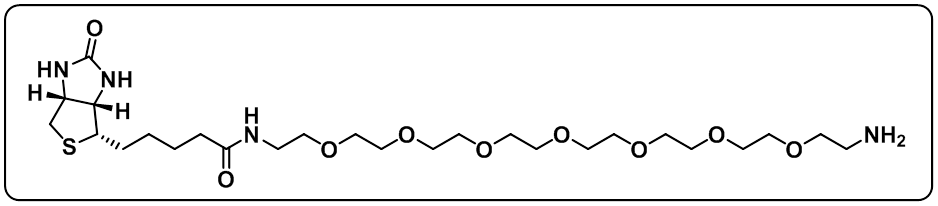 Biotin-PEG7-amine