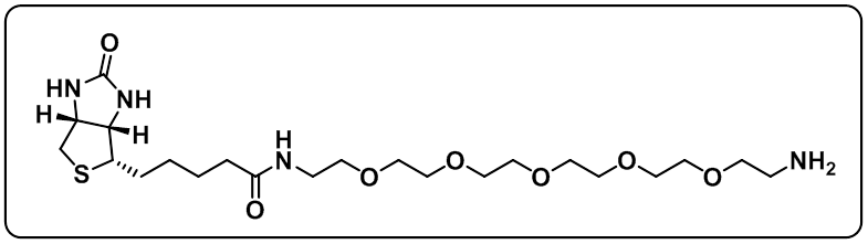 Biotin-PEG5-amine