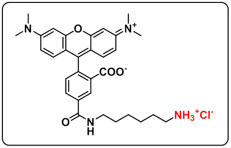 5-TAMRA amine