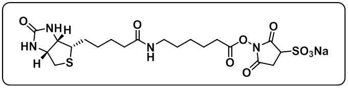 Biotin-LC-Sulfo-NHS