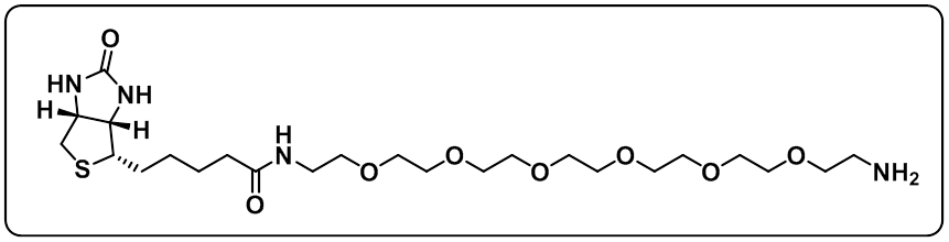 Biotin-PEG6-amine