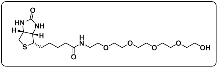 Biotin-PEG5-OH